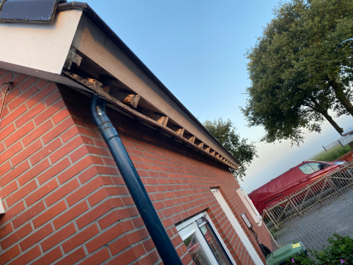 Project kunstof goten en windveren